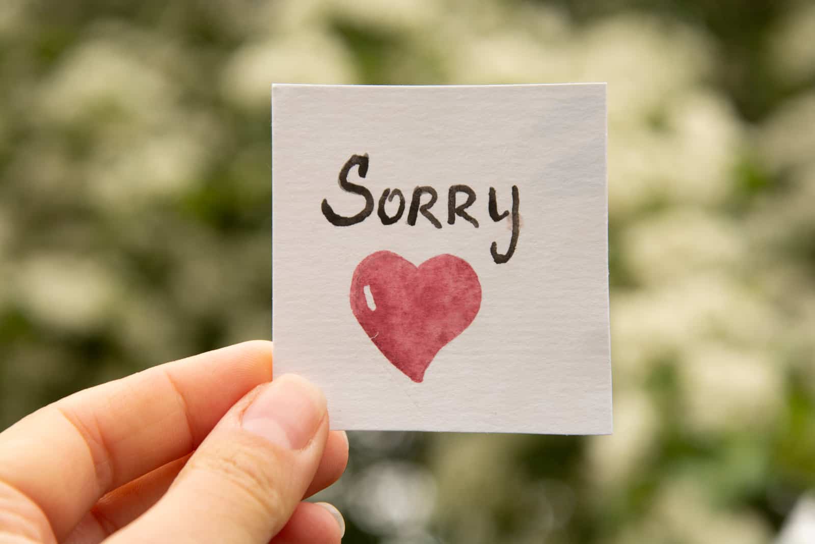 100 Best I'm Sorry Paragraphs For Her To Make Her Forgive You