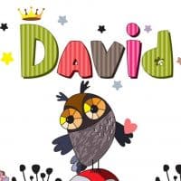 name David made from colorful letters with an owl