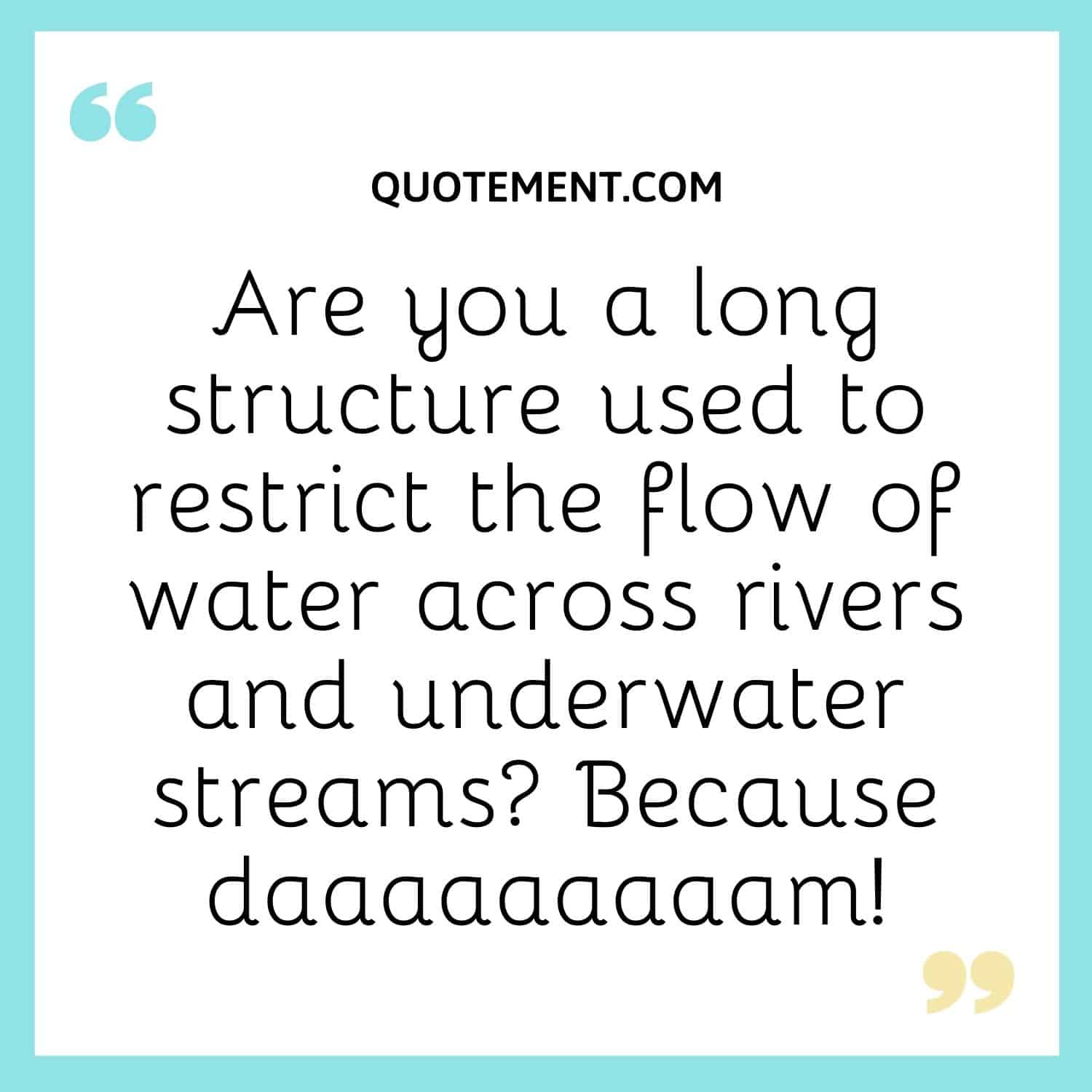 Are you a long structure used to restrict the flow of water across rivers and underwater streams Because daaaaaaaaam