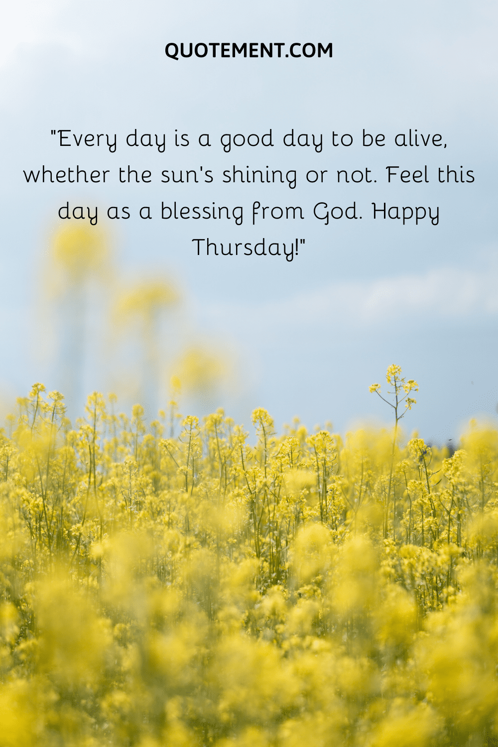 Every day is a good day to be alive