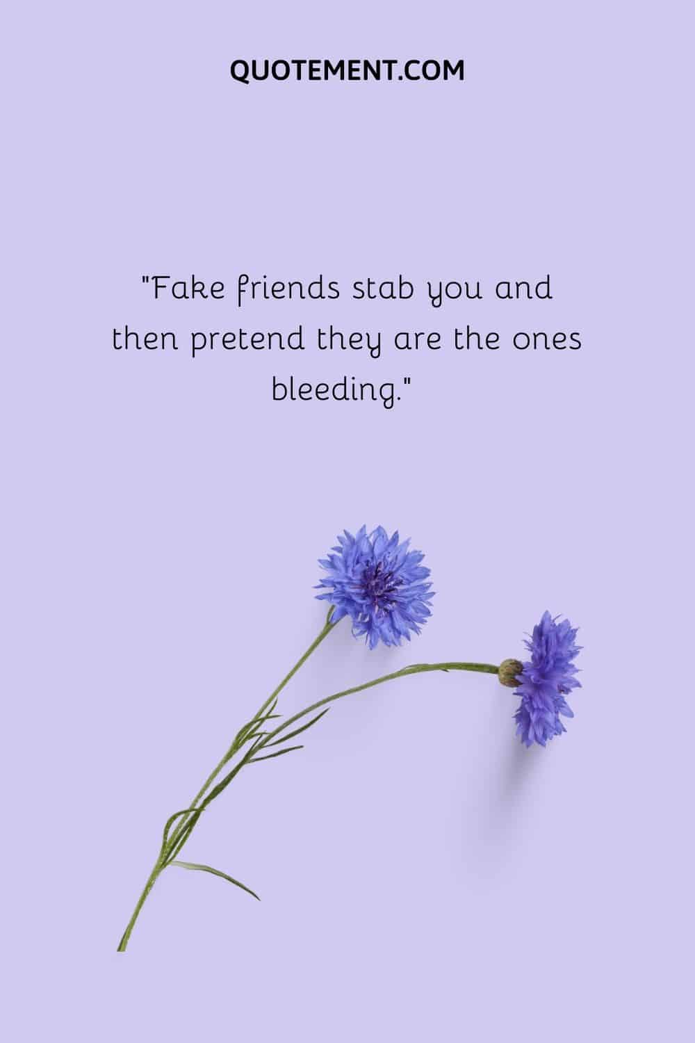 Fake friends stab you and then pretend they are the ones bleeding