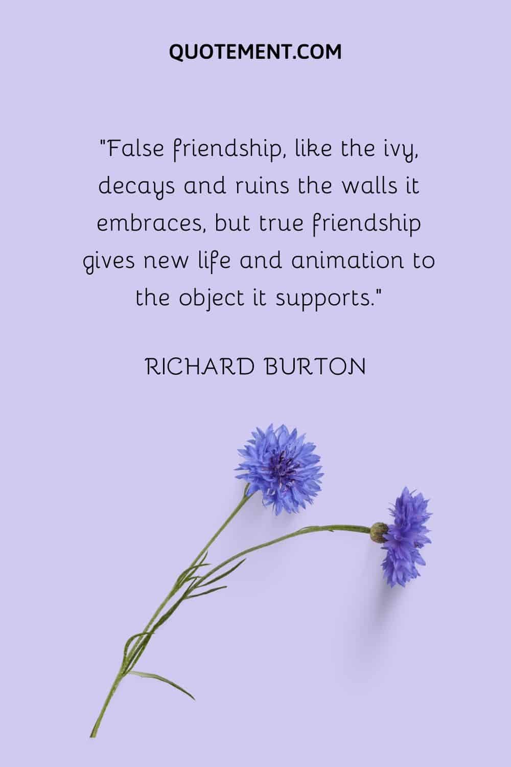 False friendship, like the ivy