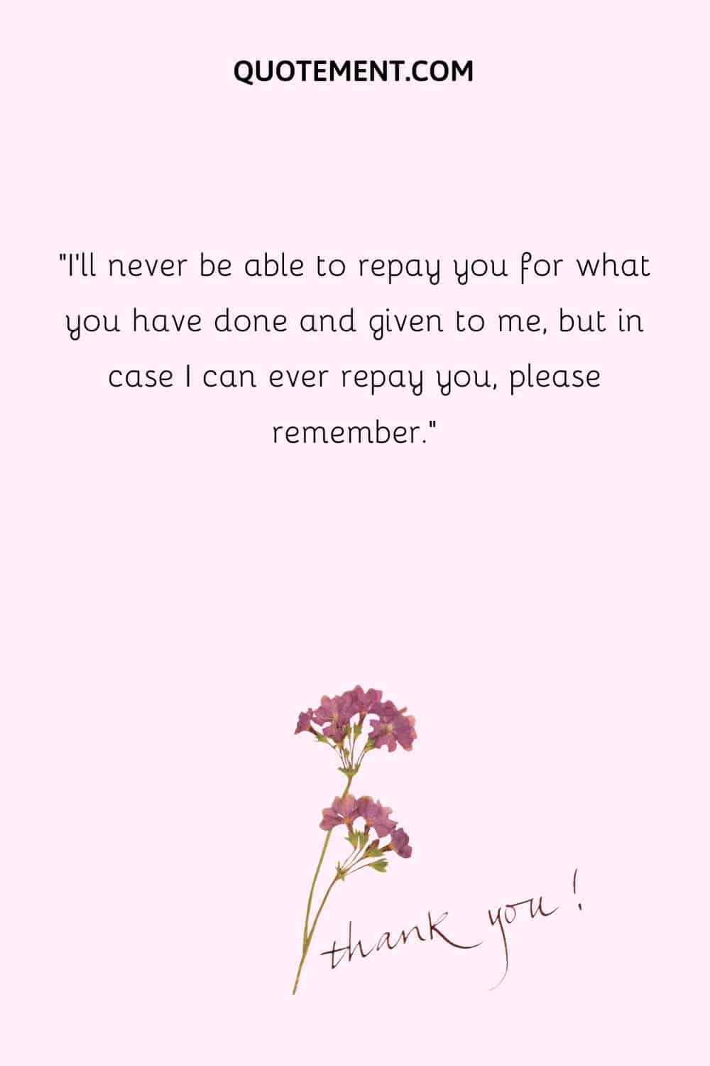 I'll never be able to repay you for what you have done and given to me, but in case I can ever repay you, please remember.