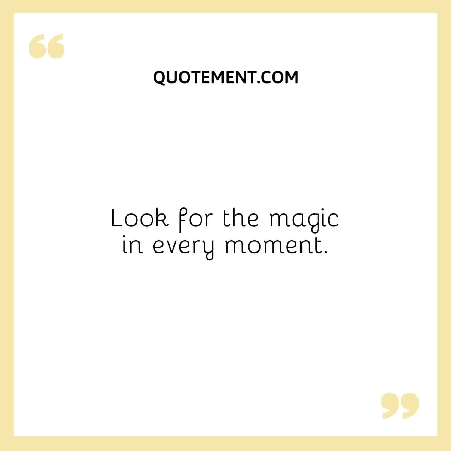 Look for the magic in every moment.