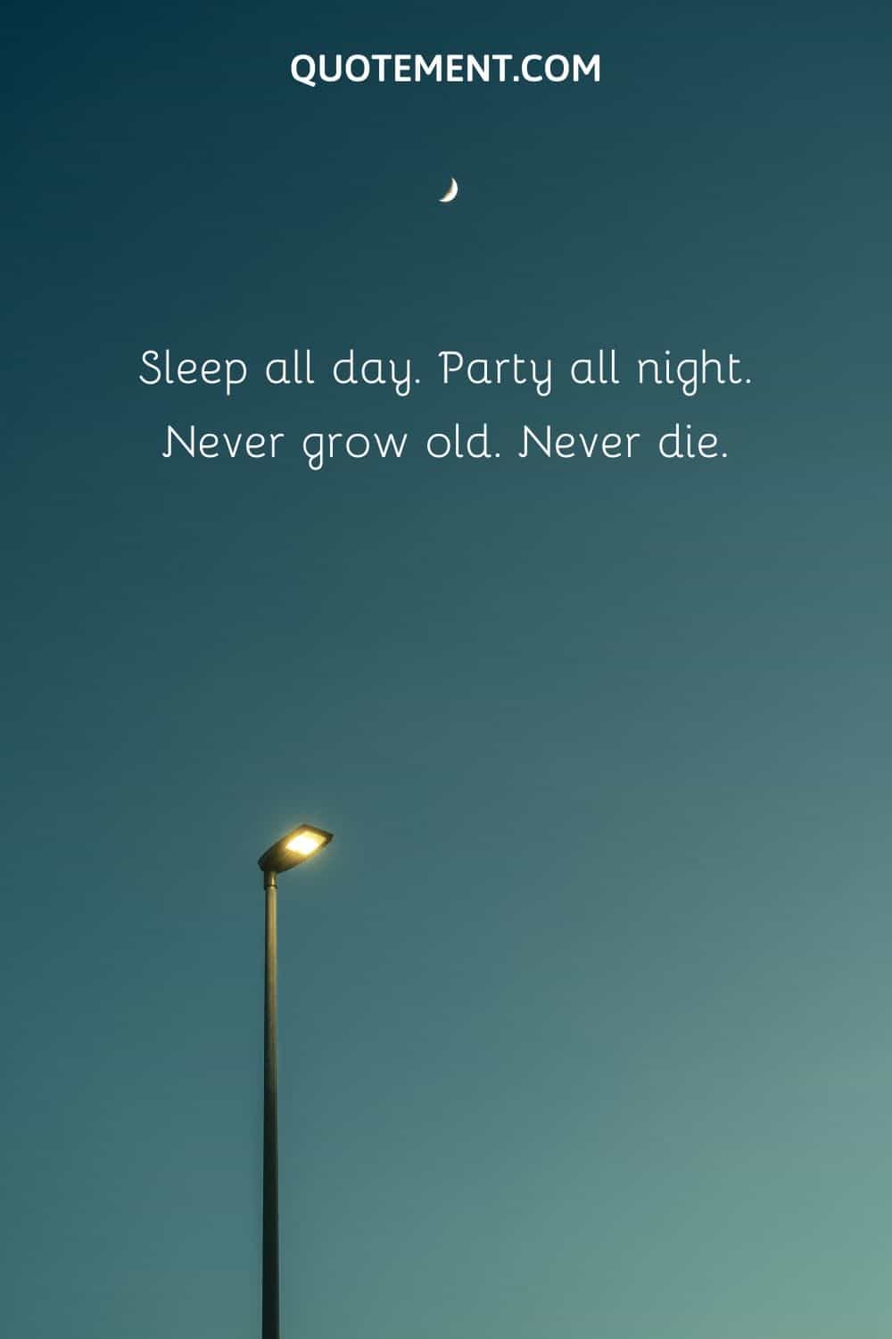 Sleep all day. Party all night. Never grow old. Never die