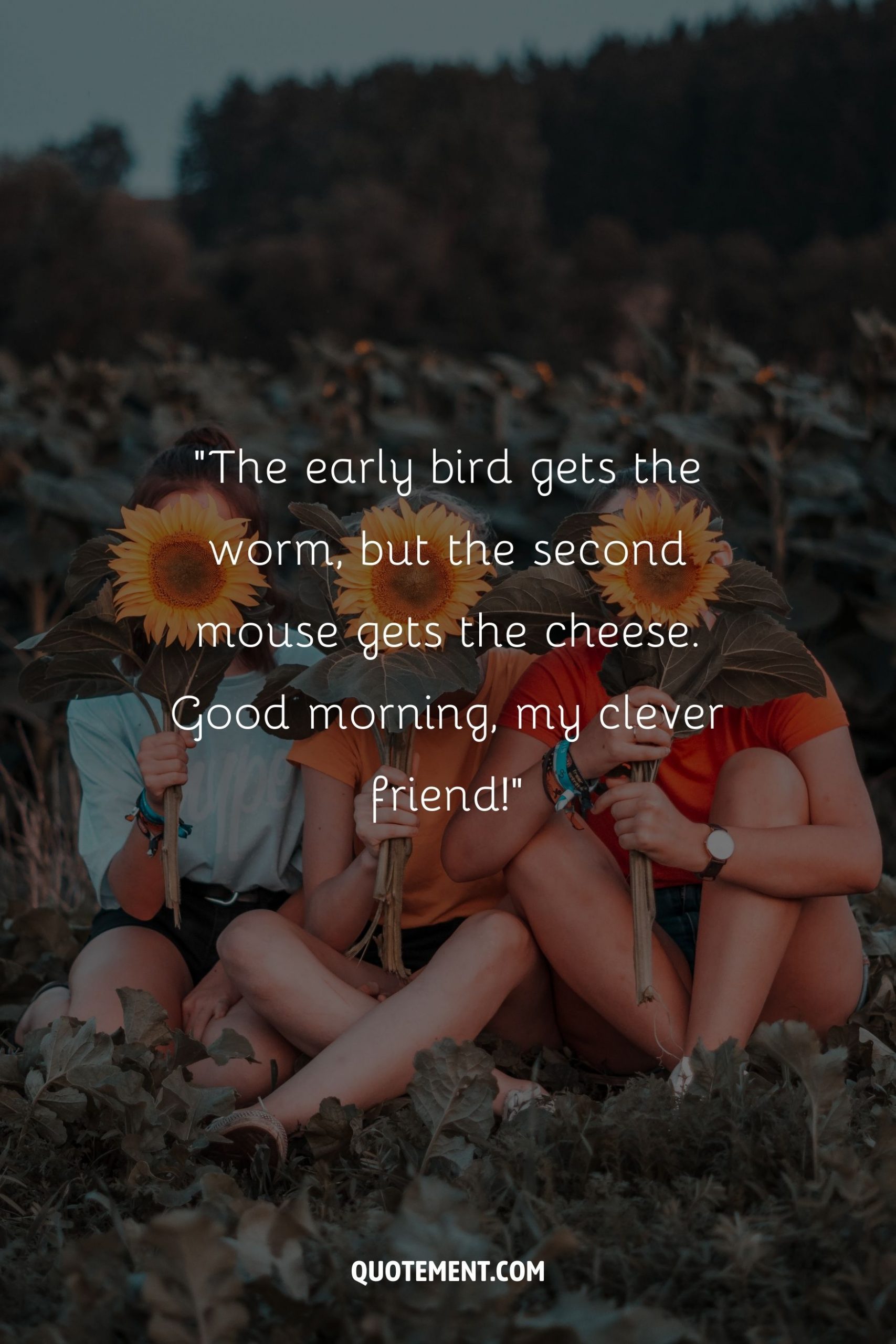 Three friends sitting in a field of sunflowers, each holding a sunflower over their face