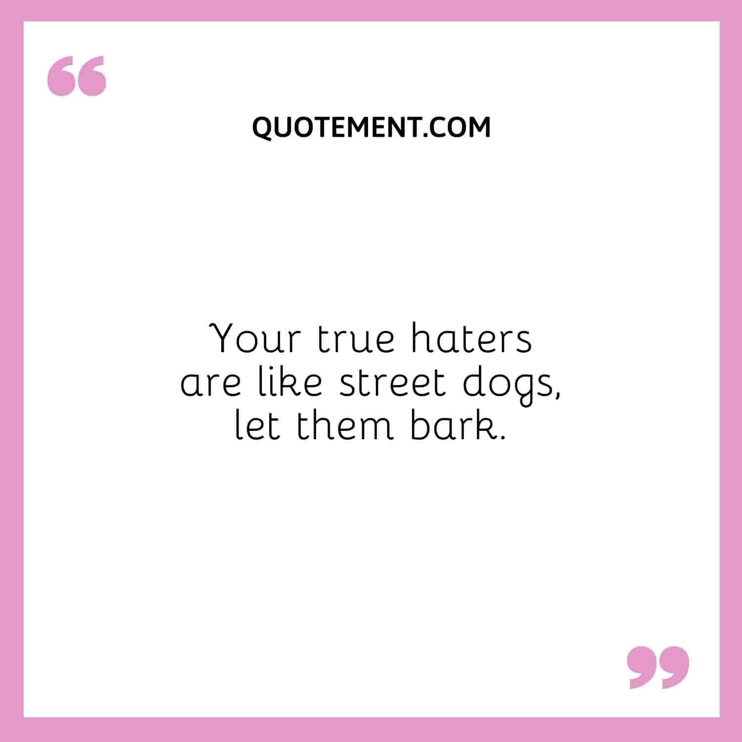 Your true haters are like street dogs, let them bark.
