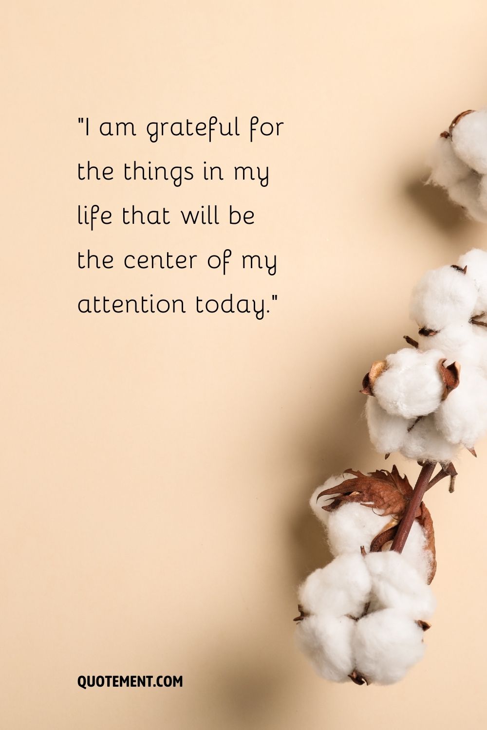 beige background with a branch of dry leaves and cotton