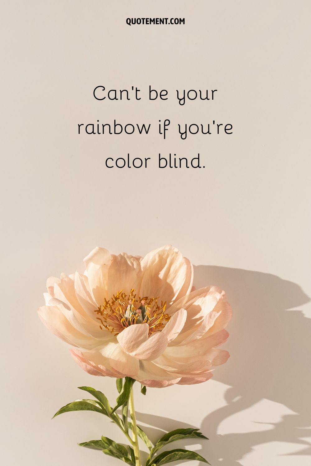 bright flower with a shadow representing ig aesthetic caption