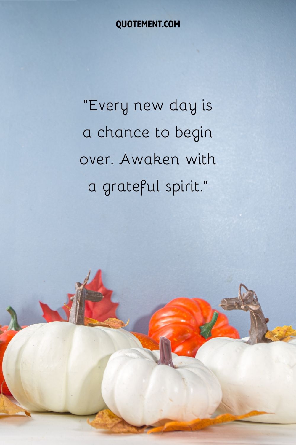 white and orange pumpkins with fall leaves against a blue backdrop