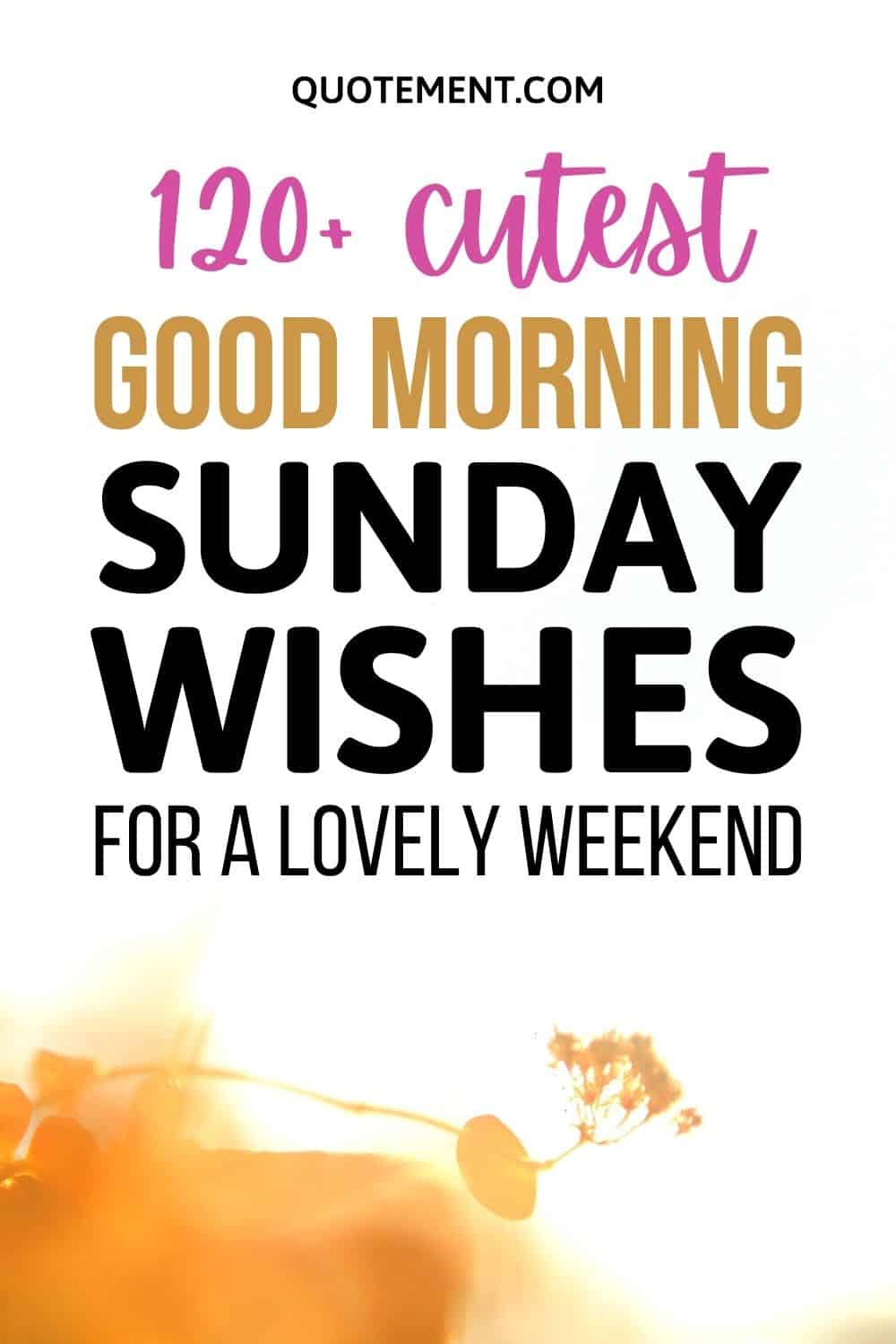 120 + Cutest Good Morning Sunday Wishes For A Lovely Weekend