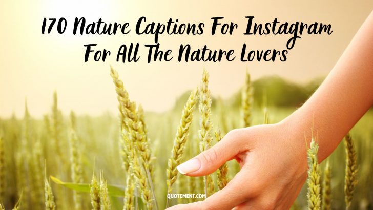 170 Nature Captions For Instagram For All The Nature Lovers