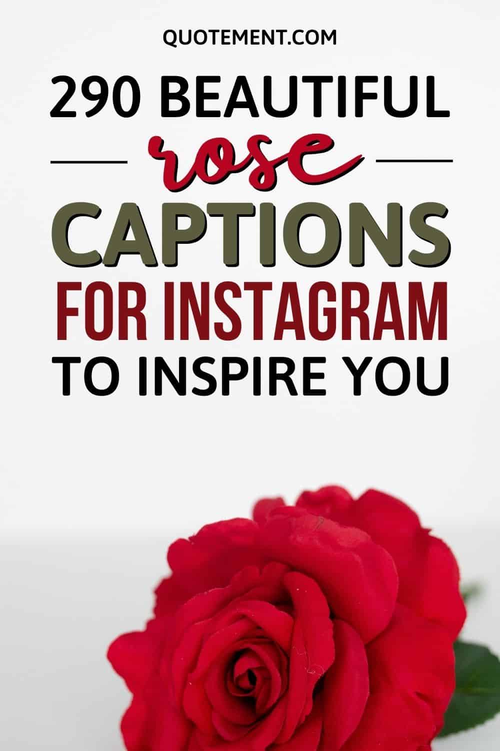 290 Beautiful Rose Captions For Instagram To Inspire You