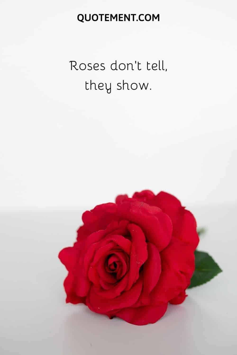 Roses don’t tell, they show.