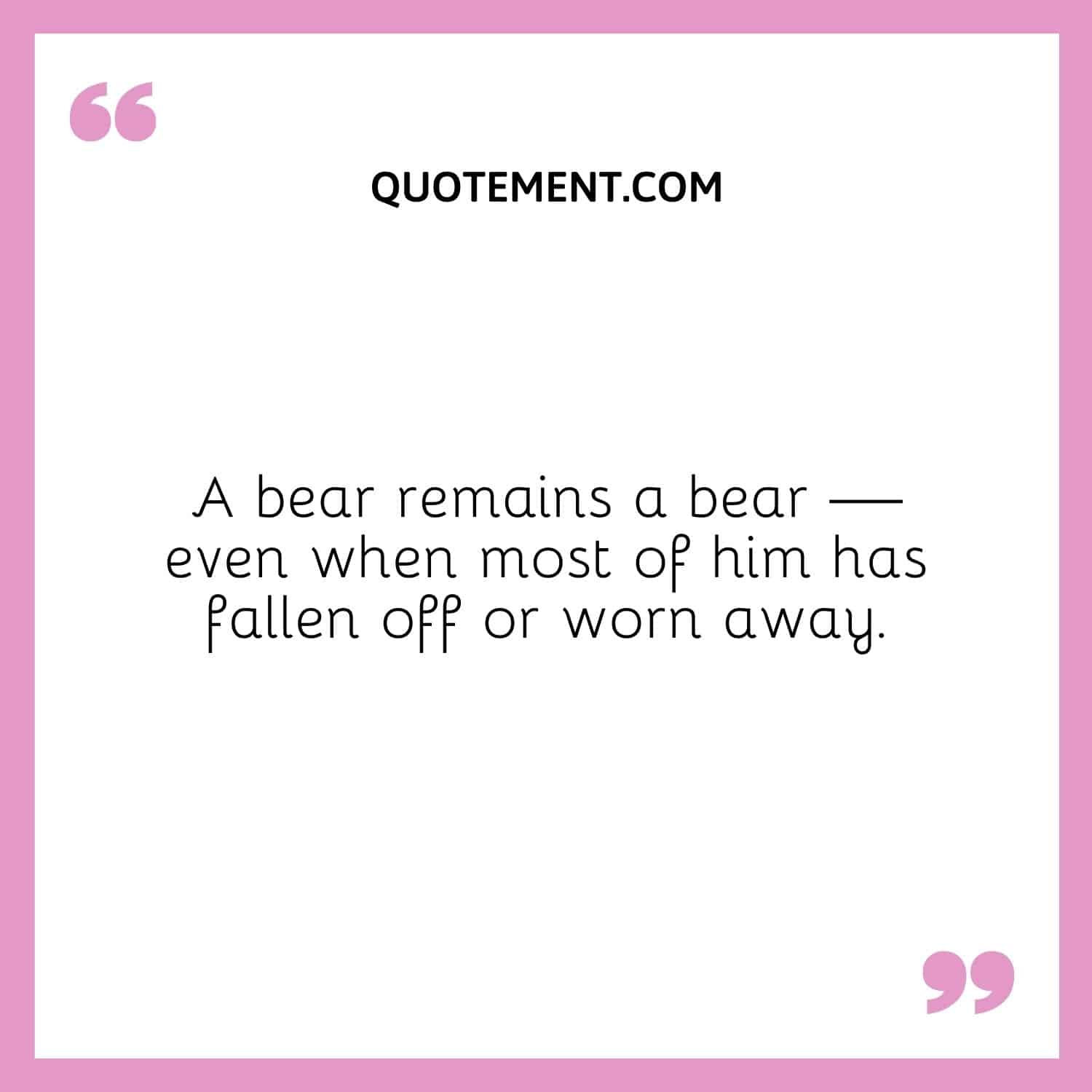 A bear remains a bear