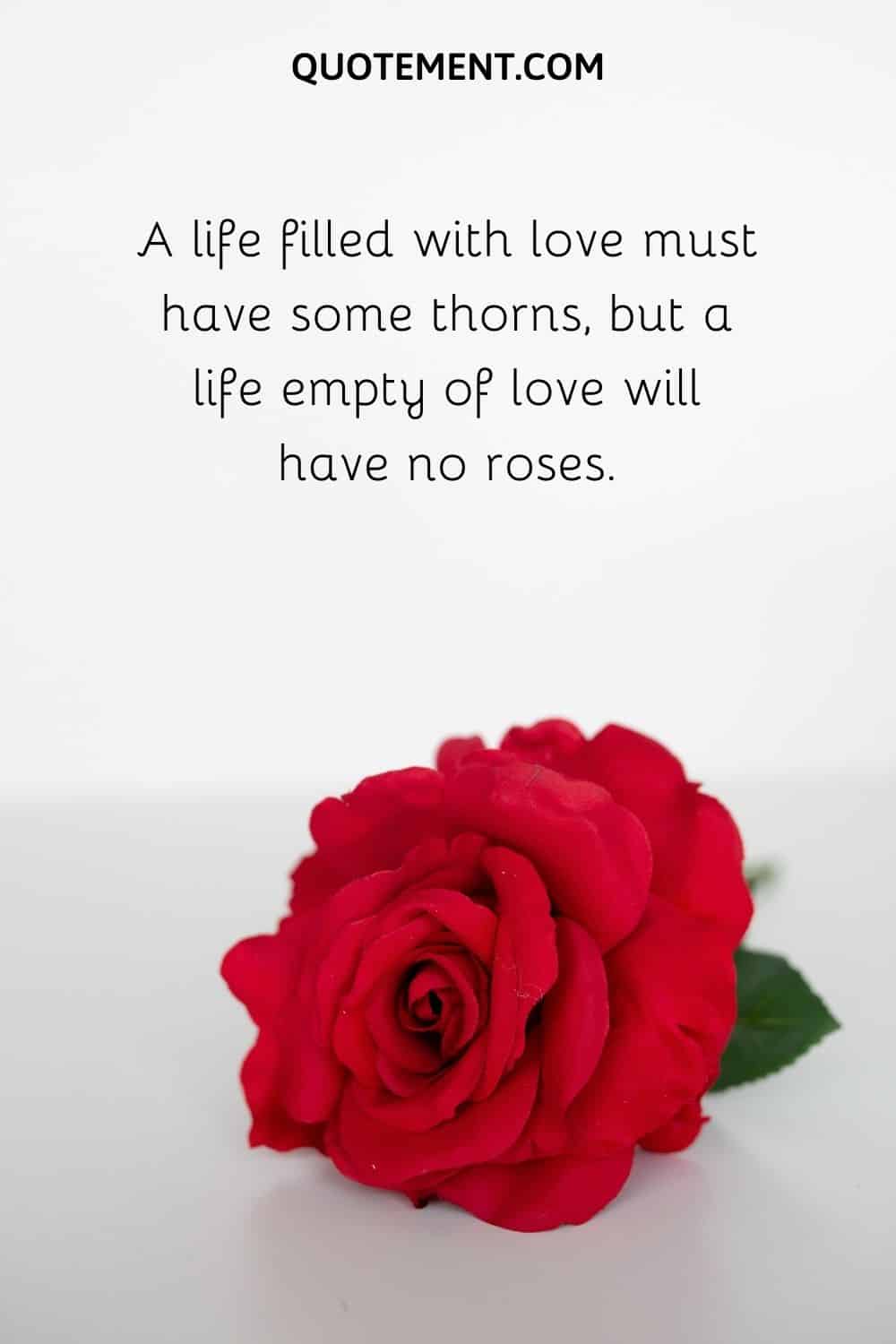 A life filled with love must have some thorns, but a life empty of love will have no roses.