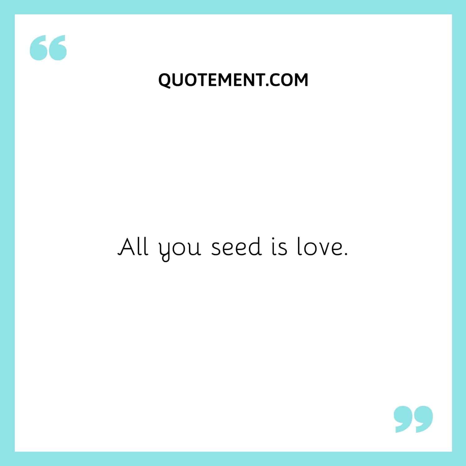 All you seed is love