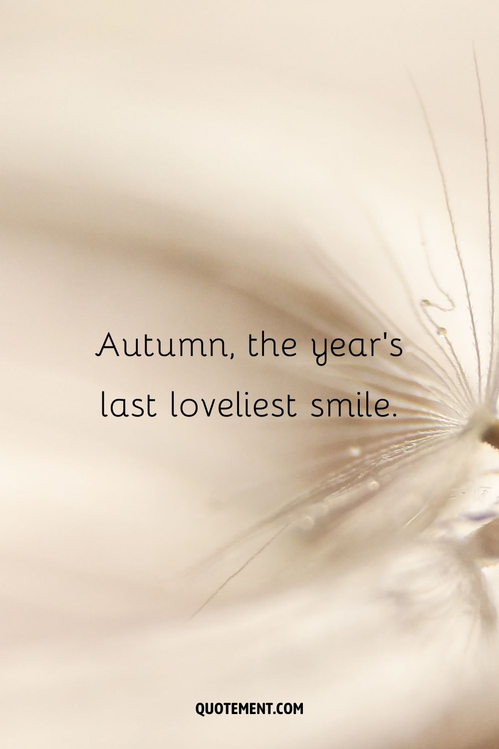 Autumn caption on a floral background.