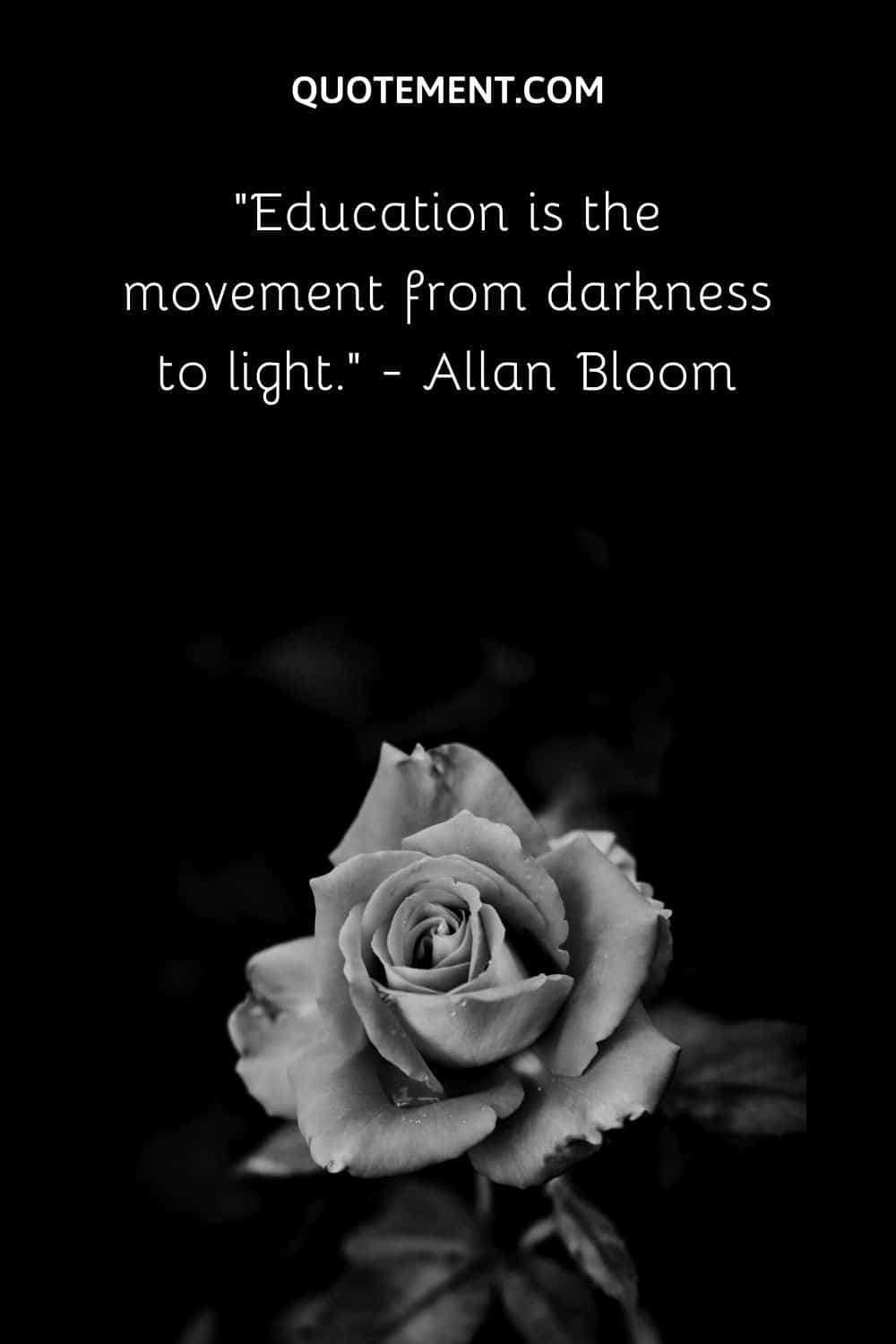 Education is the movement from darkness to light