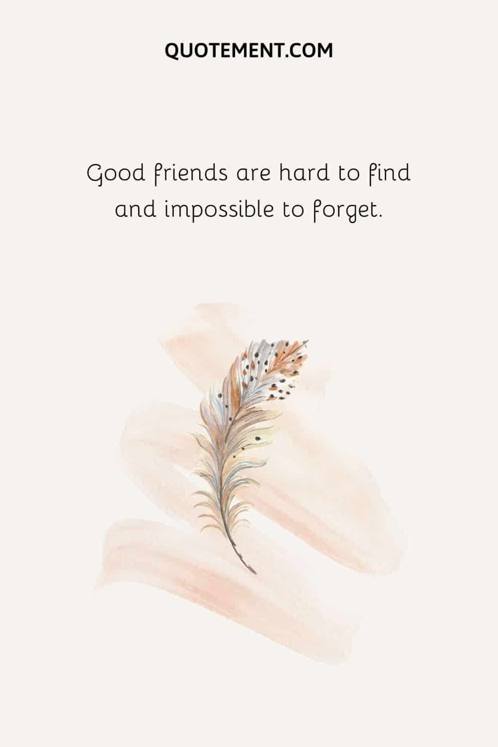 Los buenos amigos son difíciles de encontrar e imposibles de olvidar.