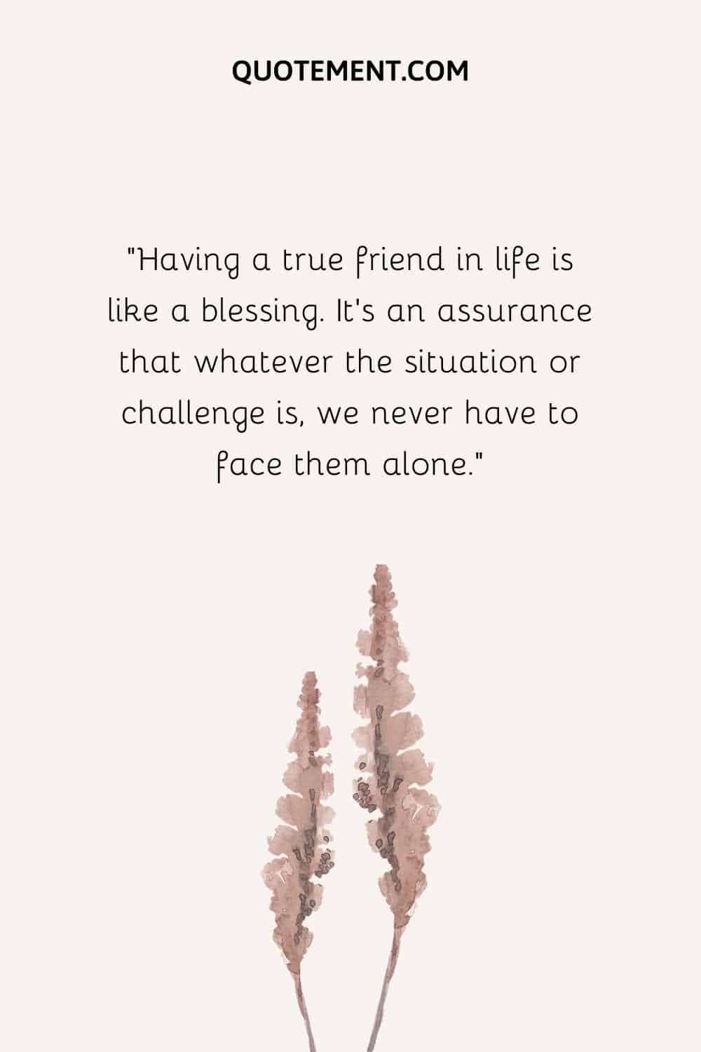 Having a true friend in life is like a blessing. It's an assurance that whatever the situation or challenge is, we never have to face them alone.