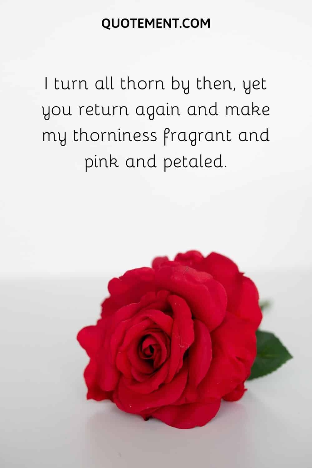 I turn all thorn by then, yet you return again and make my thorniness fragrant and pink and petaled.