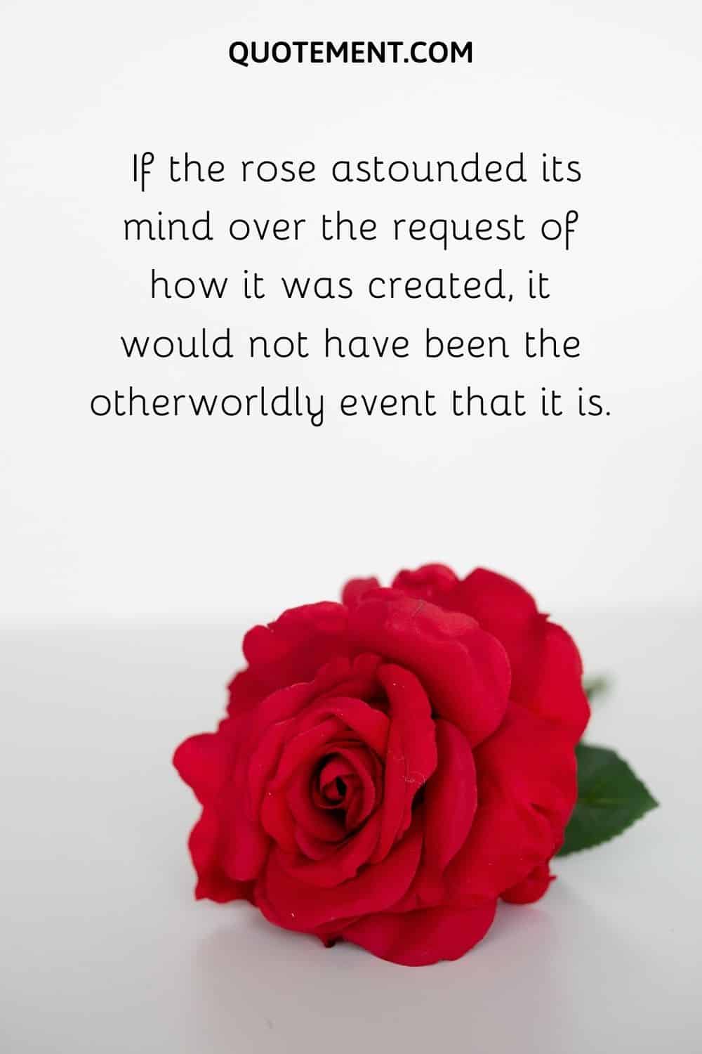 If the rose astounded its mind over the request of how it was created, it would not have been the otherworldly event that it is.