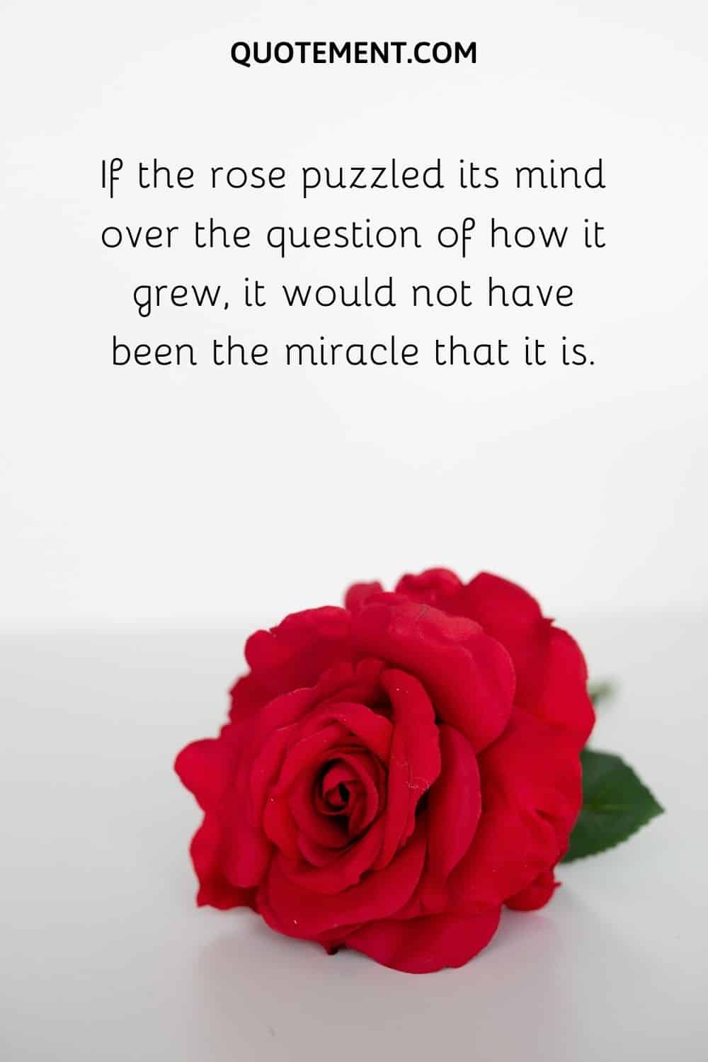 If the rose puzzled its mind over the question of how it grew, it would not have been the miracle that it is.