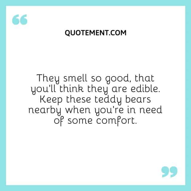 240 Cutest Teddy Bear Captions For Instagram + Quotes