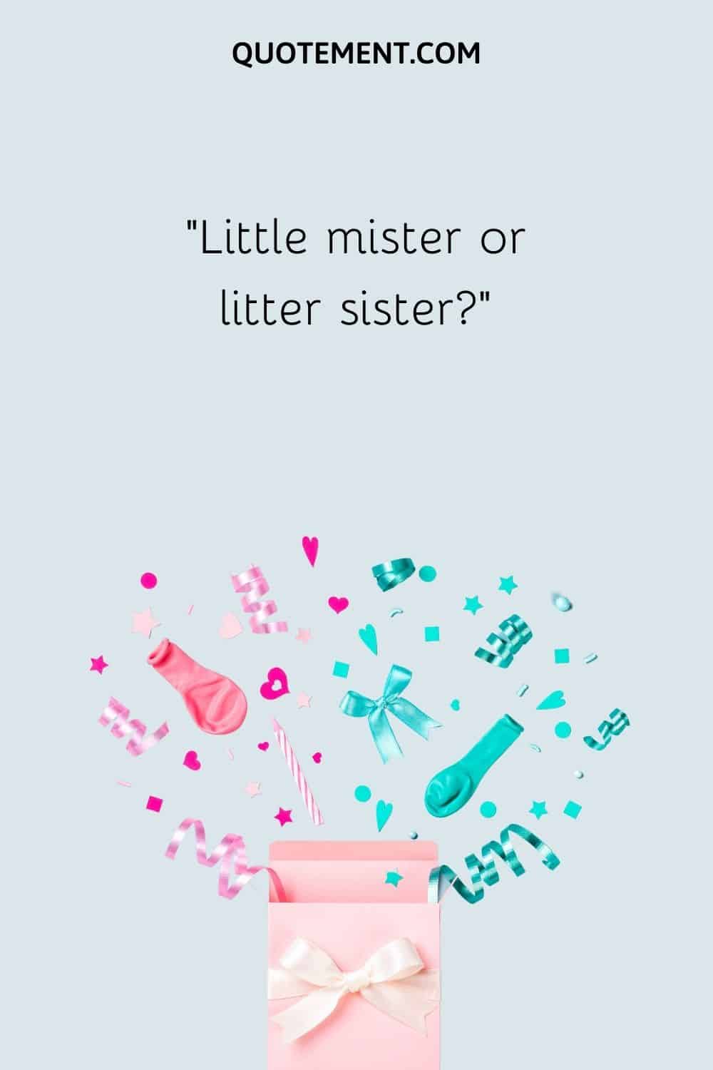 Little mister or litter sister