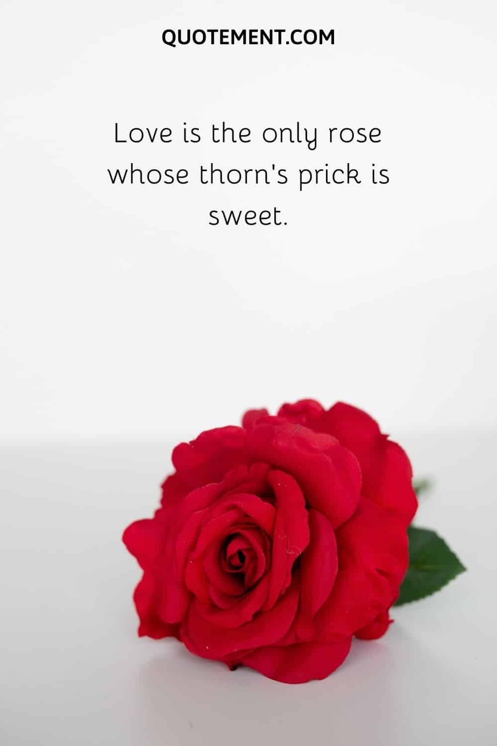Love is the only rose whose thorn’s prick is sweet.