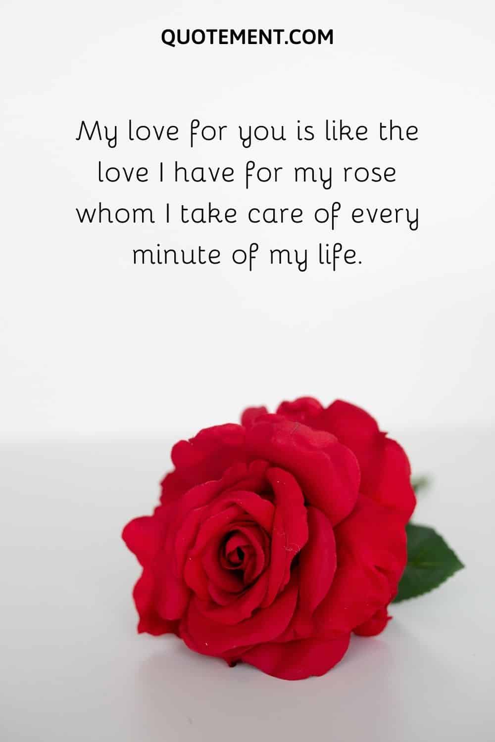 My love for you is like the love I have for my rose whom I take care of every minute of my life.