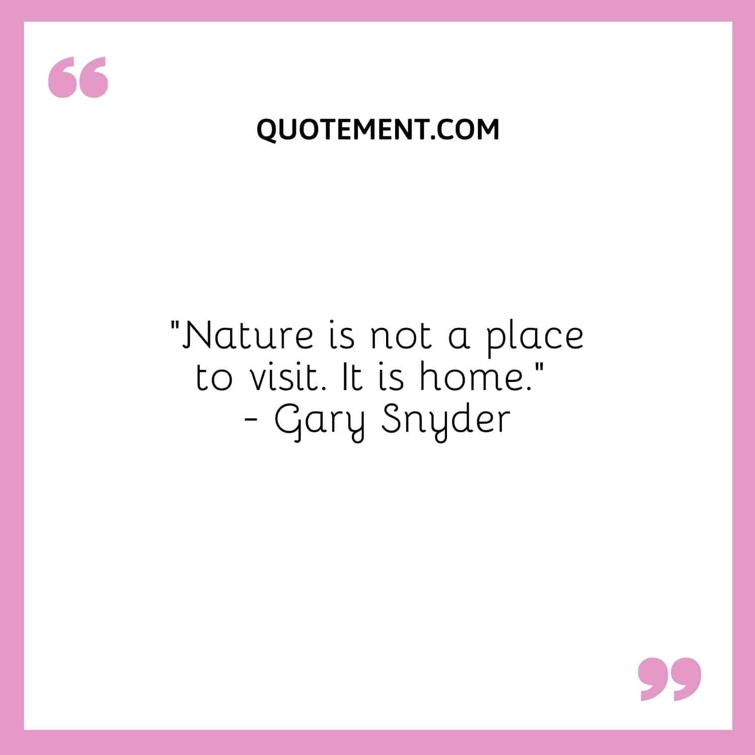 Nature is not a place to visit. It is home