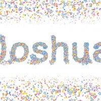 Joshua Male name coated with various colorful flowers and colorful border