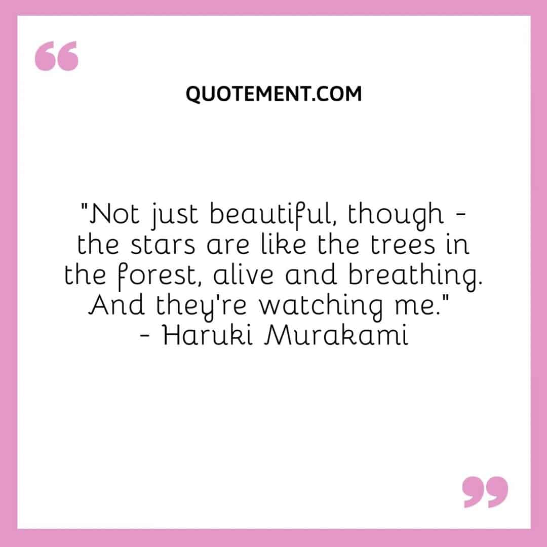 150 Nature Captions For Instagram For All The Nature Lovers