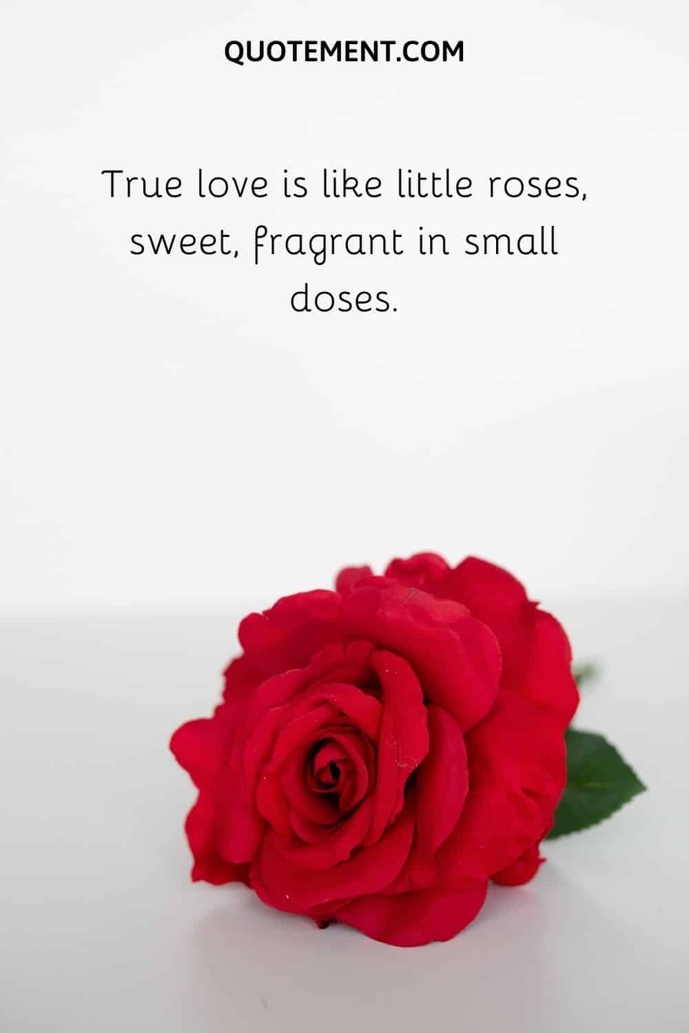 True love is like little roses, sweet, fragrant in small doses.