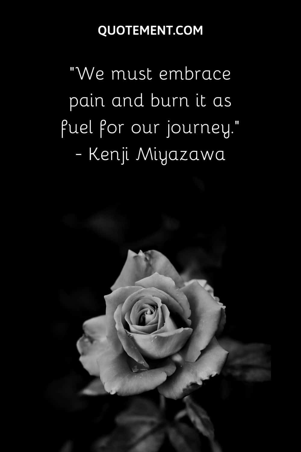 We must embrace pain and burn it as fuel for our journey.