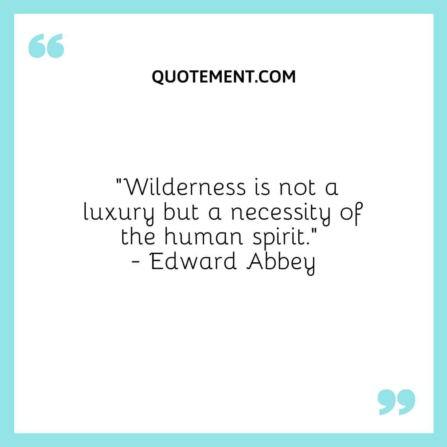Wilderness is not a luxury but a necessity of the human spirit