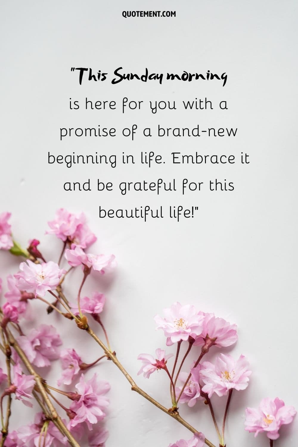 a bunch of small pink flowers representing sunday good morning image with quote