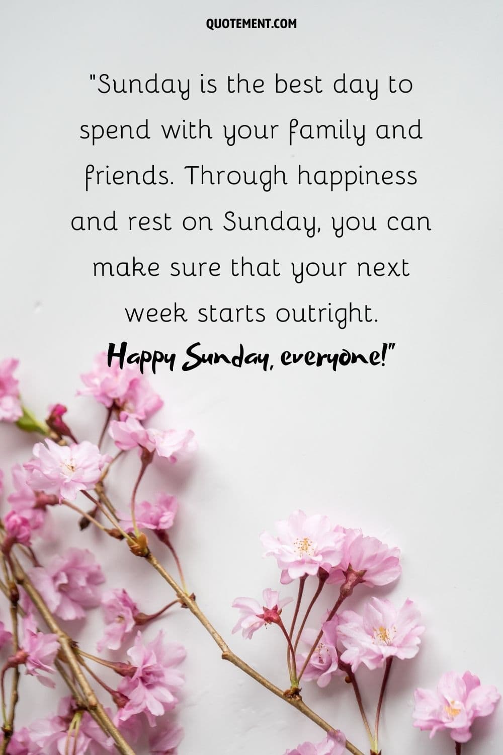 pink flowers on a branch representing sunday morning image and quote