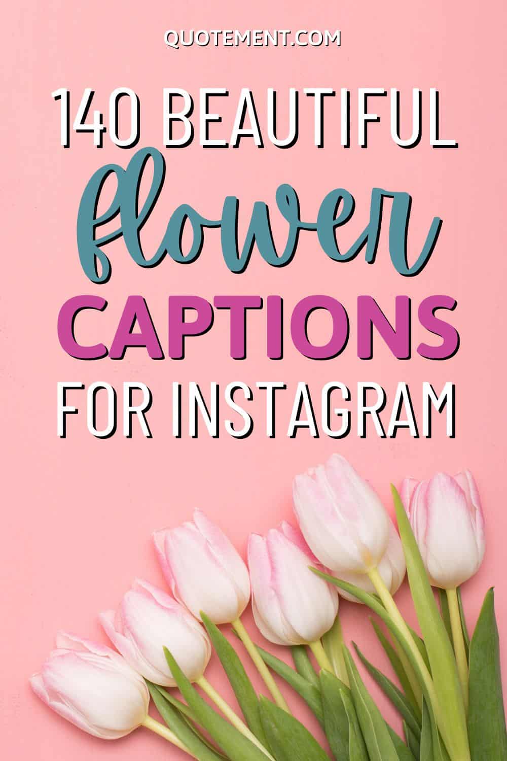 140 Beautiful Flower Captions To Make Your Post Stand Out