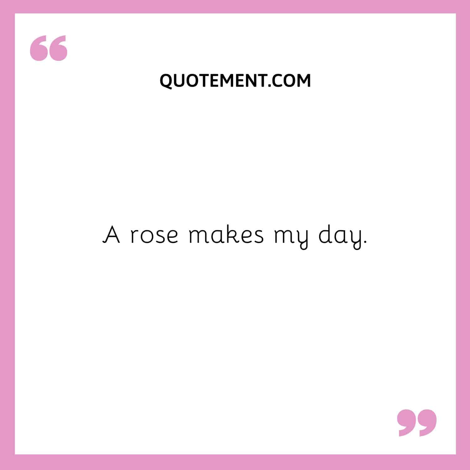 A rose makes my day