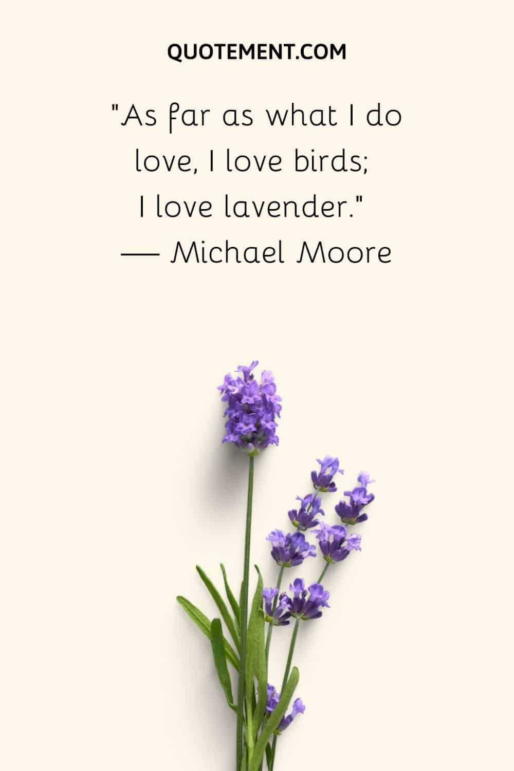 As far as what I do love, I love birds; I love lavender