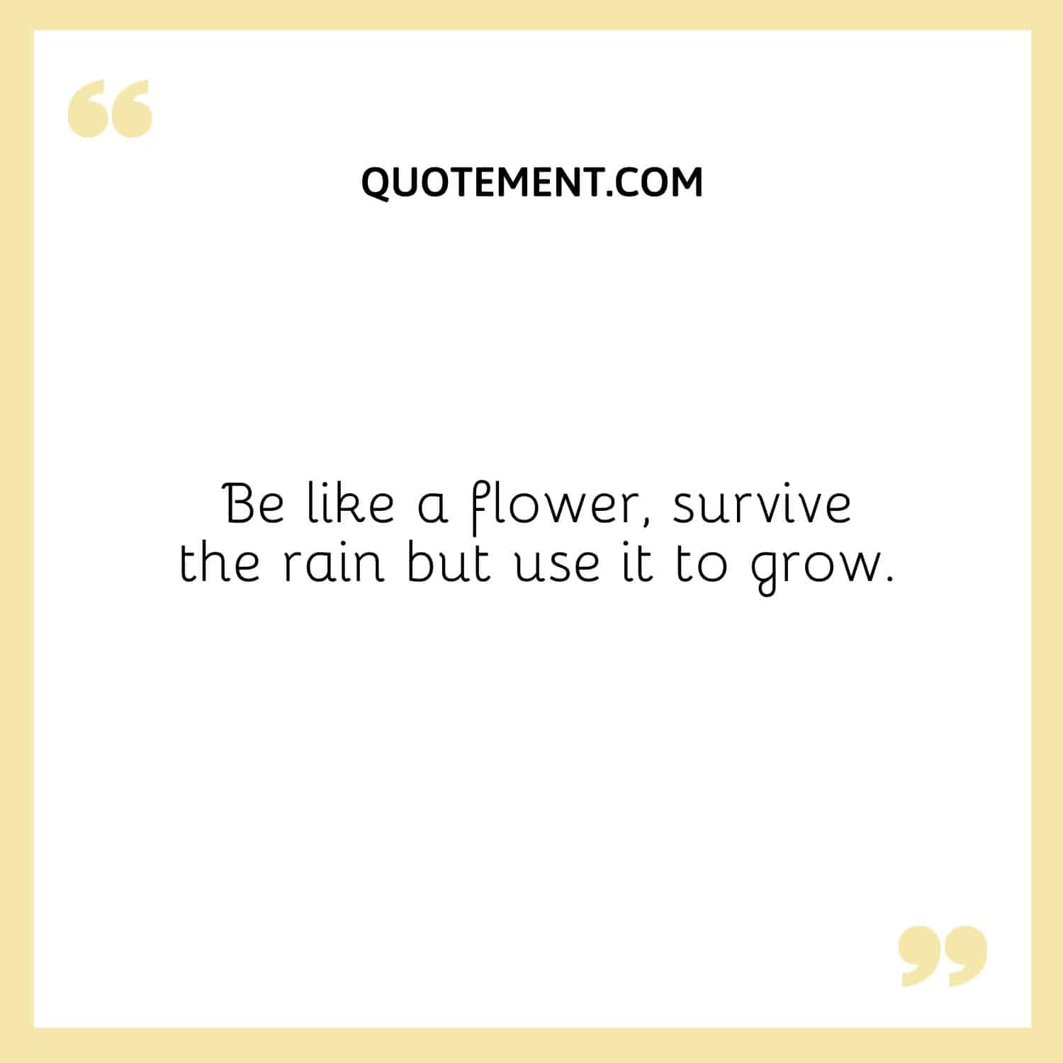 Be like a flower, survive the rain but use it to grow
