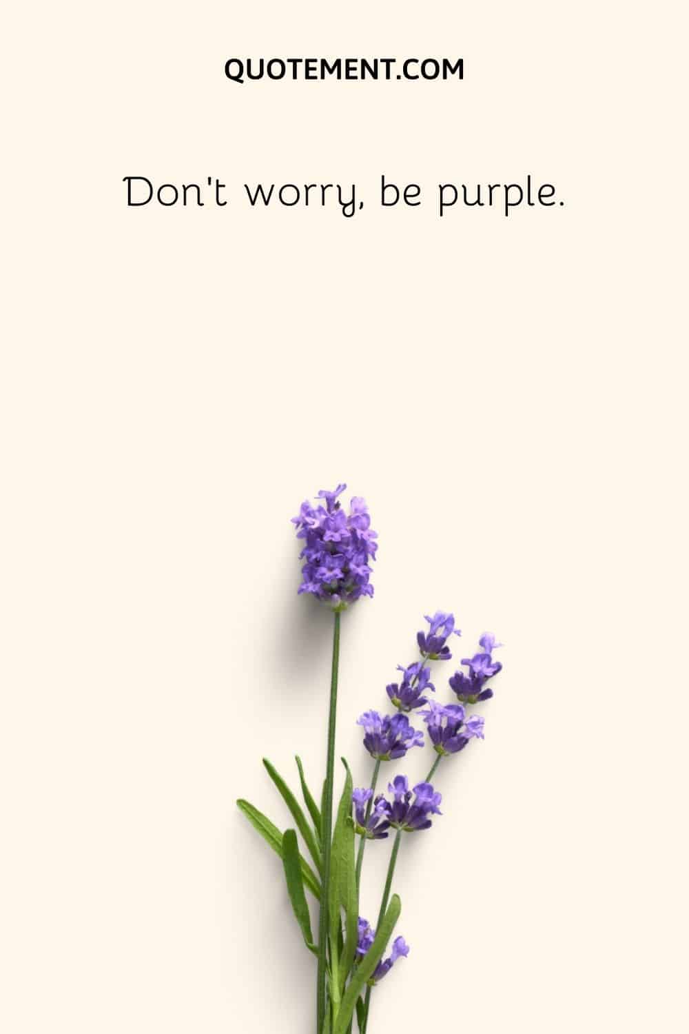 Don’t worry, be purple
