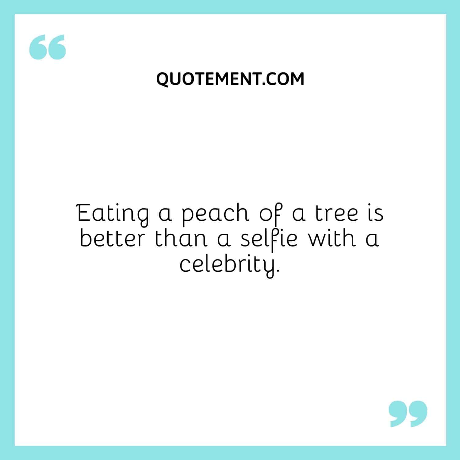 Eating a peach of a tree is better than a selfie with a celebrity.
