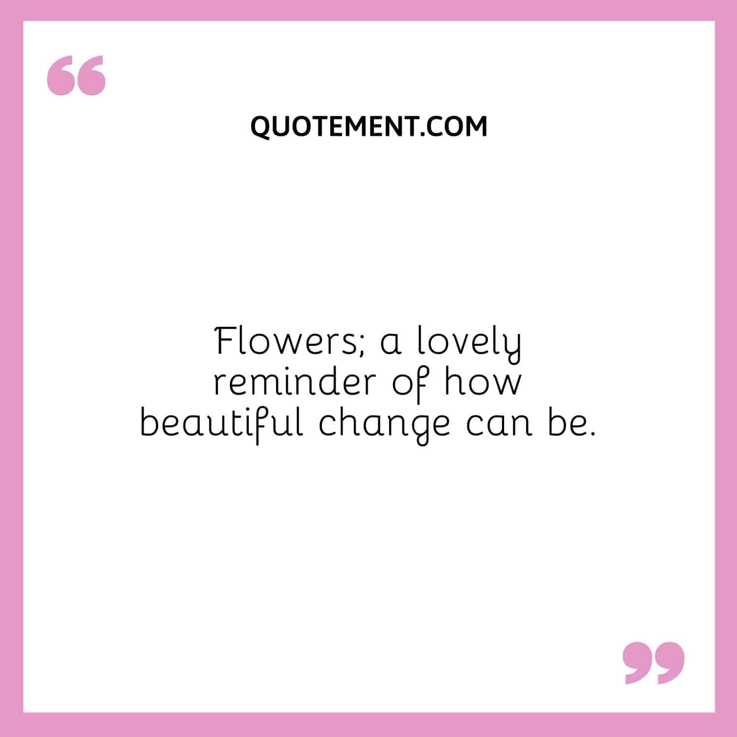 Flowers; a lovely reminder of how beautiful change can be