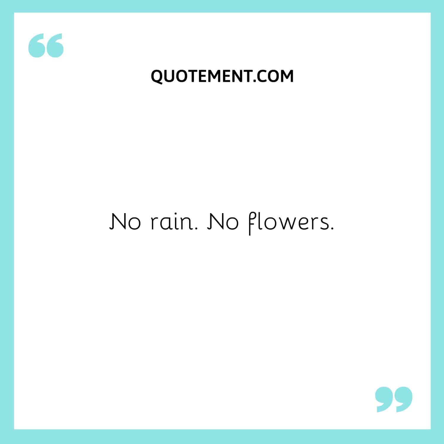 No rain. No flowers