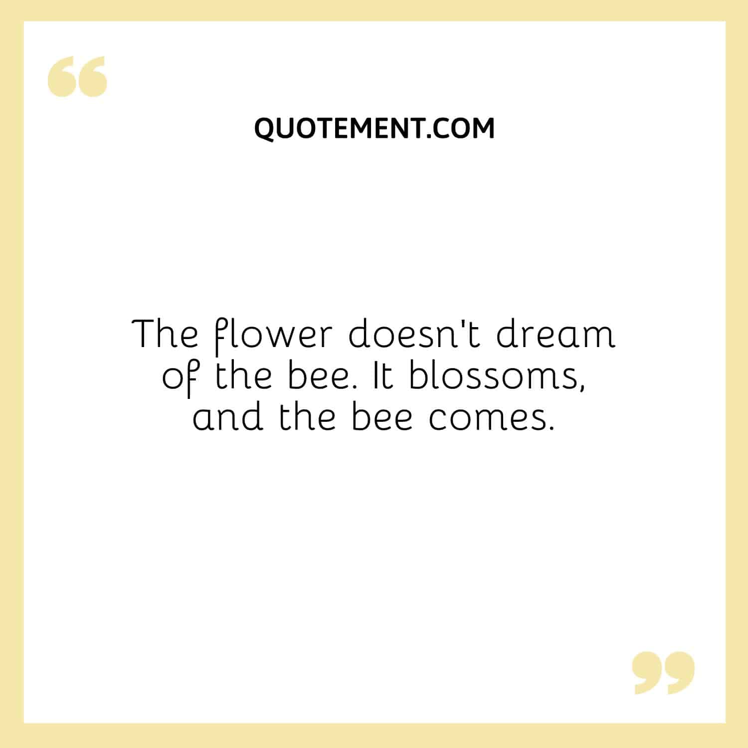 The flower doesn’t dream of the bee. It blossoms, and the bee comes