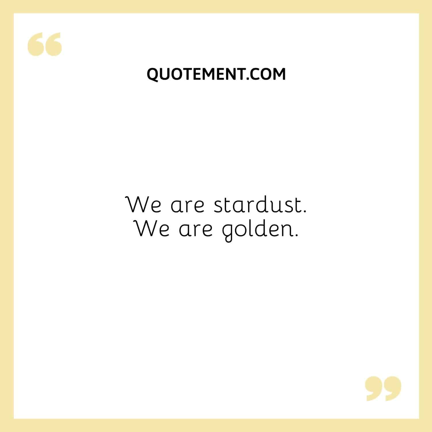 We are stardust. We are golden.